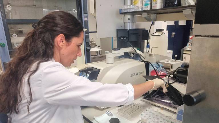 Participación jiennense en un trabajo pionero sobre la influencia de la memoria en el frío