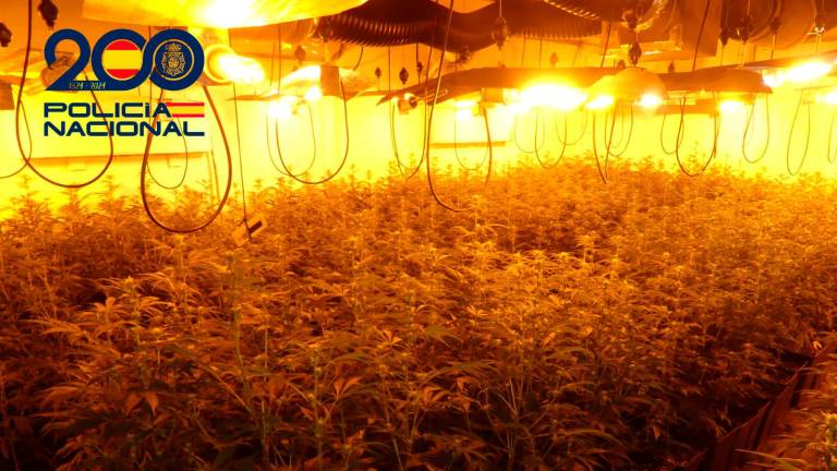 Detenidas cinco personas en Linares por tenencia ilícita de armas, riña tumultuaria y tráfico de drogas