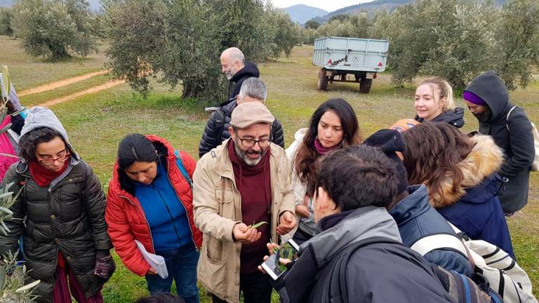 Alumnos de la UNIA visitan un olivar ecológico en Sierra de Segura