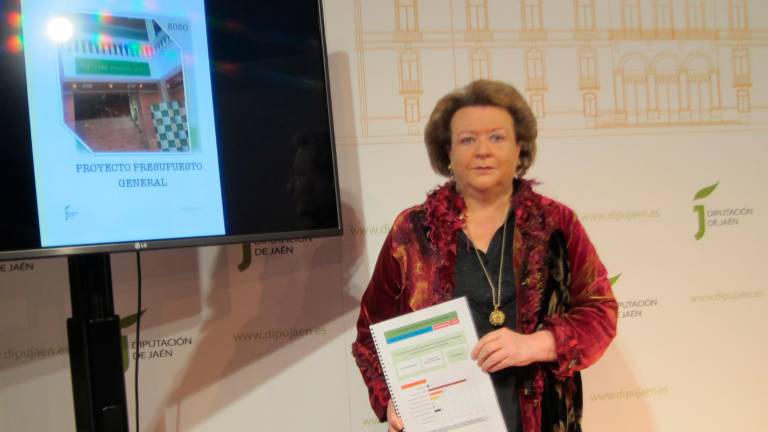 El presupuesto de la Diputación para 2020 ronda los 259 millones