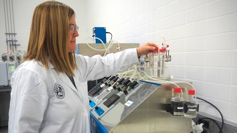 Investigadores de la UJA obtienen energía limpia del orujo húmedo