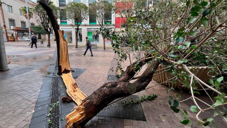 El temporal eleva a cerca de 600 las incidencias registradas en Jaén