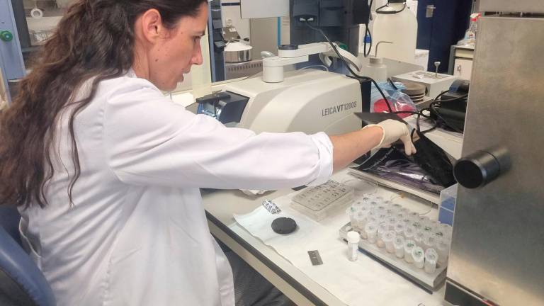 Un 15% más de mujeres en titulaciones STEM en las universidades públicas andaluzas