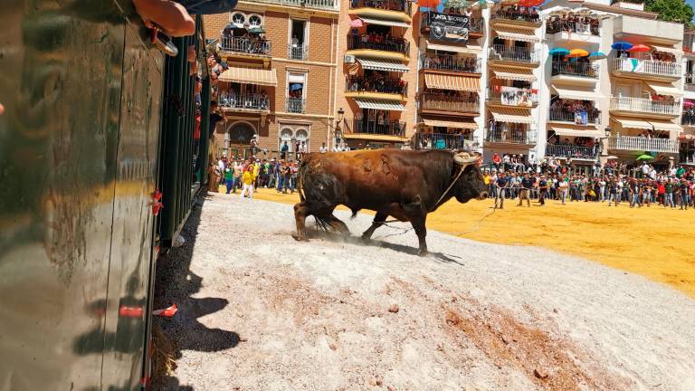 Beas de Segura disfruta así en el tercer desencajonamiento de reses bravas