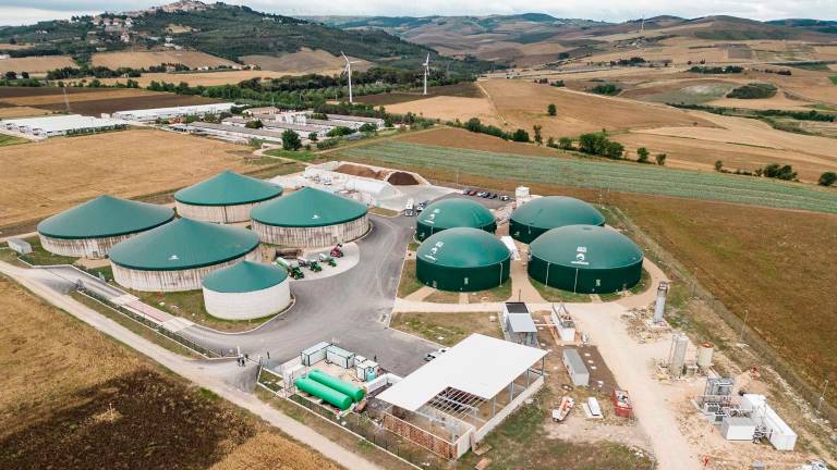 El potencial del olivar frente al cambio climático