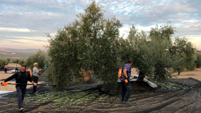Inicio temprano de campaña