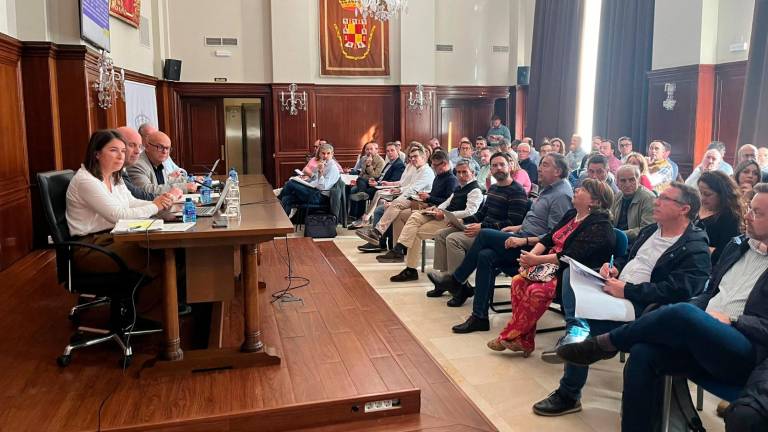 Subdelegación informa a los ayuntamientos de las ayudas para paliar los daños causados por las borrascas