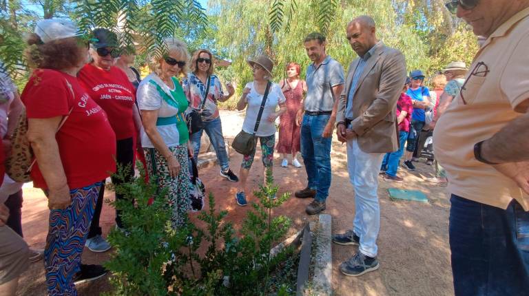 <i>Programa socioambiental “Semillas de Experiencia”. / Ayuntamiento de Jaén. </i>