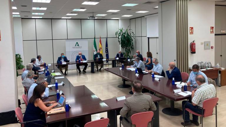 Constituido el Comité Asesor Externo para la gestión y mejora de la covid-19