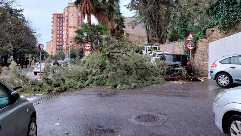 El viento y las lluvias pasan factura en todos los barrios de Jaén