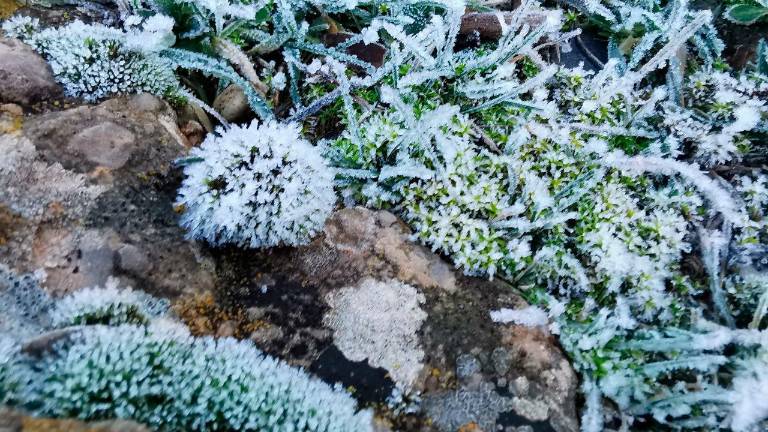 Las heladas vuelven a teñir de invierno la provincia en una madrugada gélida