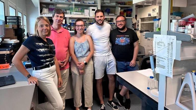 Investigadores de la UJA identifican dos moléculas que controlan la regeneración celular del corazón