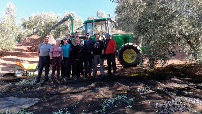 El BOE publica la reducción del IRPF para los agricultores jiennenses en 2022