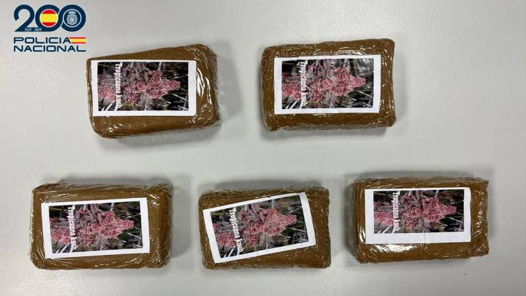 Detenido en Andújar uno de los distribuidores de hachís de la ciudad