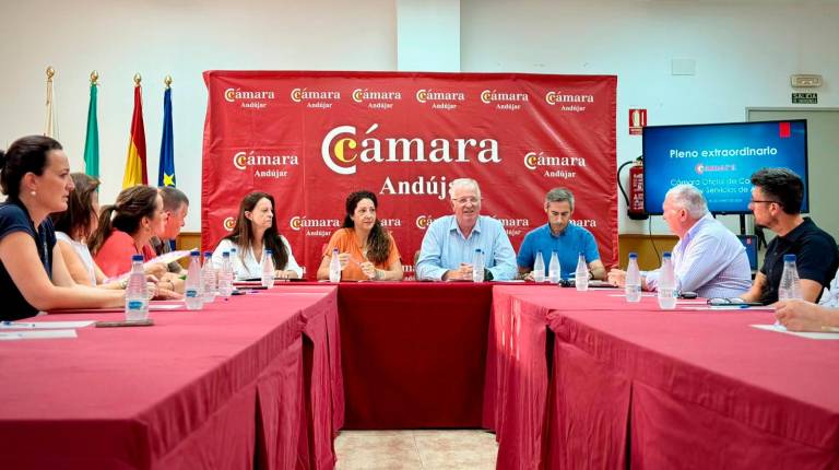 <i>Ana Mata preside el pleno extraordinario. / Junta de Andalucía.</i>