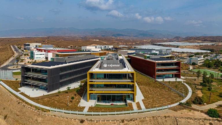 Cajamar gana 178 millones en el primer semestre con la mejora de la actividad comercial