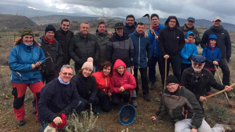 Nuevo bosque con miles de árboles en el campo de tiro