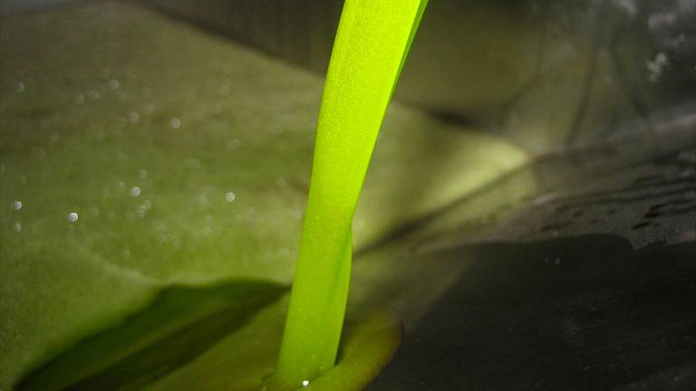 El sector oleícola valora el contexto internacional y pide prudencia ante las amenazas de Trump