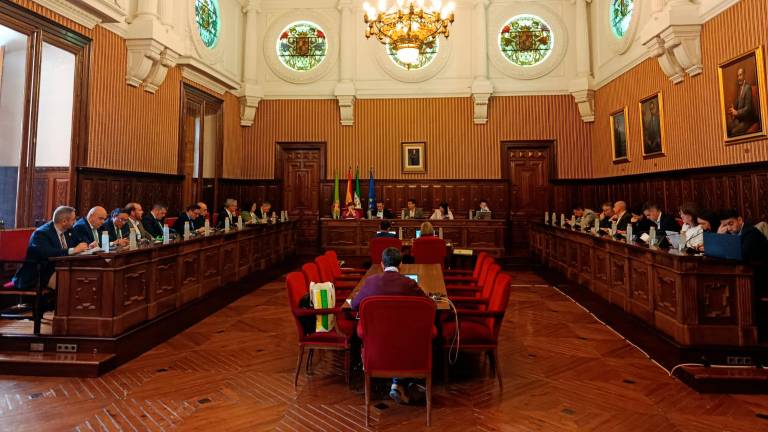 Aprobada por unanimidad la concesión de los Premios de la Provincia