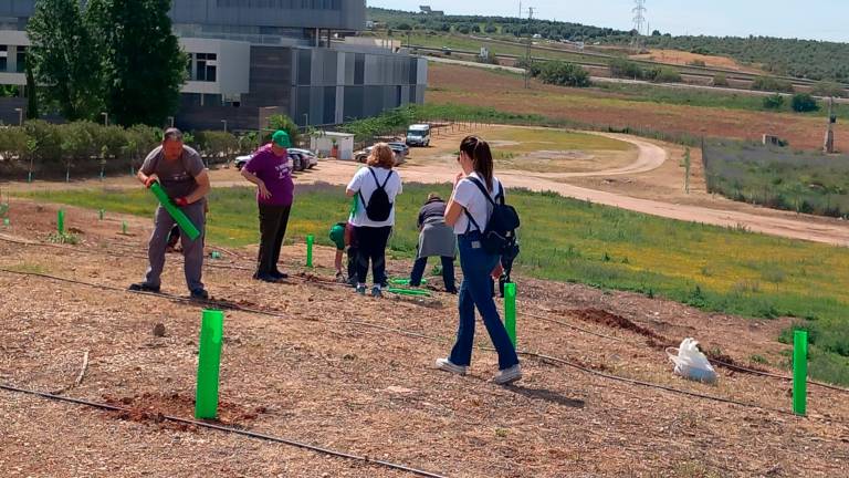 Reforestación en el Campus Científico-Tecnológico de Linares
