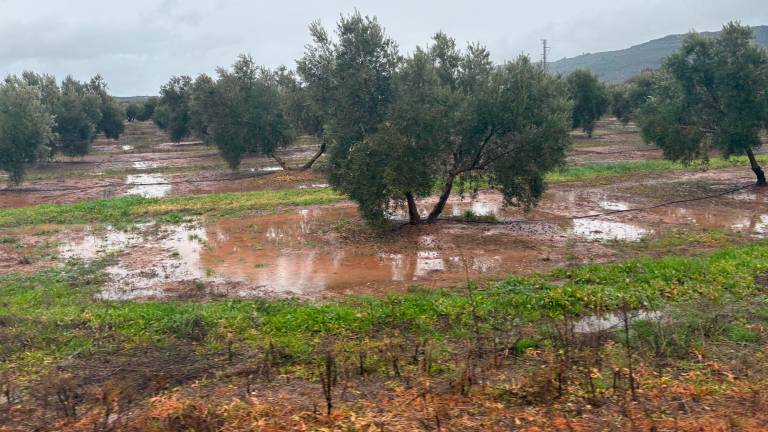 Sábado frío y con lluvia en Jaén, con tormentas al final del día