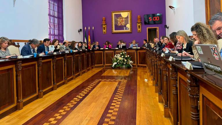 El Ayuntamiento aprueba la mutación demanial de Ifeja por 7,3 millones