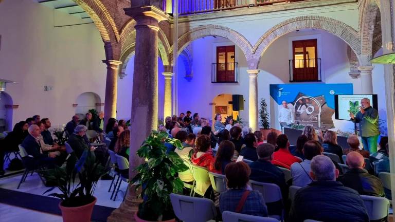 Nuevo récord de visitas en el Centro Cultural Baños Árabes