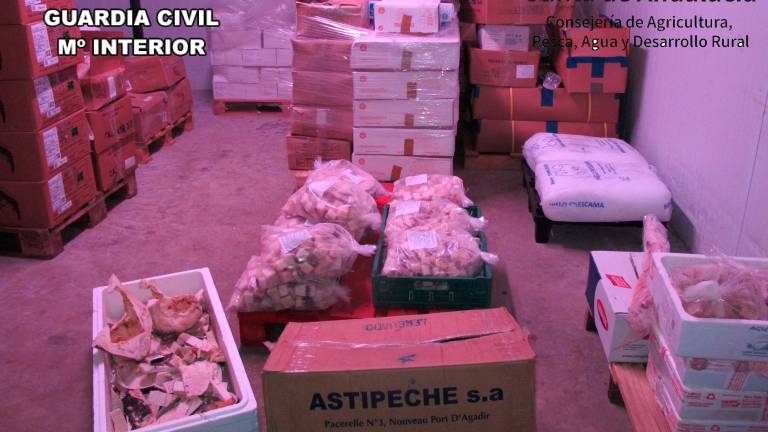 Intervenidos 2.032 kilos de productos pesqueros en una nave de Jaén