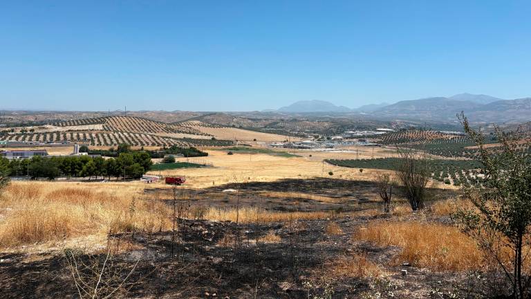 Un incendio quema tres hectáreas de rastrojos en El Valle