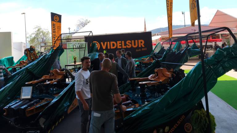 Así se ha vivido el arranque de Expoliva en Ifeja, en imágenes