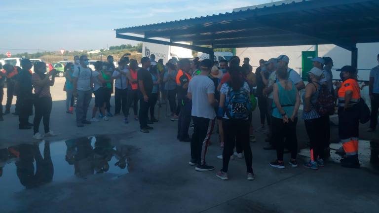 Protección Civil y Cruz Roja se suman a la quinta jornada de búsqueda del vecino desaparecido en Arjona