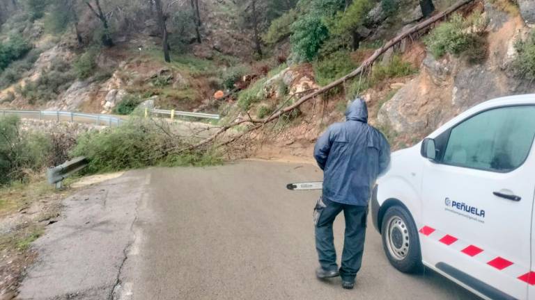 Casi un centenar de incidencias en Andalucía por la borrasca Francis