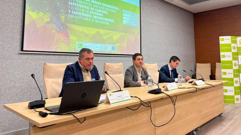 Un diálogo internacional sobre olivicultura aborda el impulso de la rentabilidad del olivar tradicional