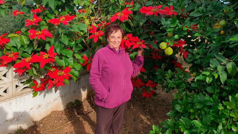 Mujeres que aprendieron a volar