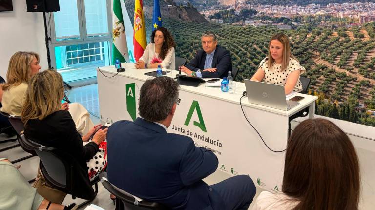 <i>Ana Mata, Antonio Sanz e Isabel Crespo, en la reunión con enfermeras referentes escolares. / Ana Isabel Bravo / Diario JAÉN.</i>
