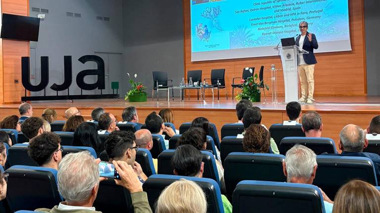 <i>Diego González mientras pronuncia la conferencia. / UJA.</i>