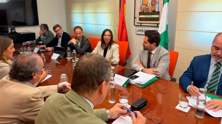 <i>La consejera Rocío Díaz se reúne con los representantes del sector de la vivienda. / Junta de Andalucía.</i>