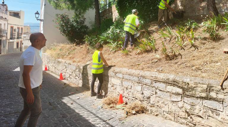 <i>José María Cano supervisa los trabajos de desbroce en la carretera de la circunvalación. / Ayuntamiento de Jaén.</i>