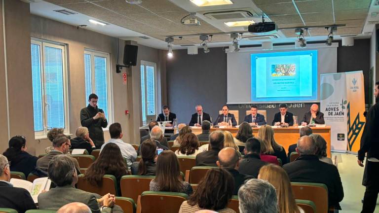 El sector oleícola afronta un “desplome” en los precios del aceite de oliva