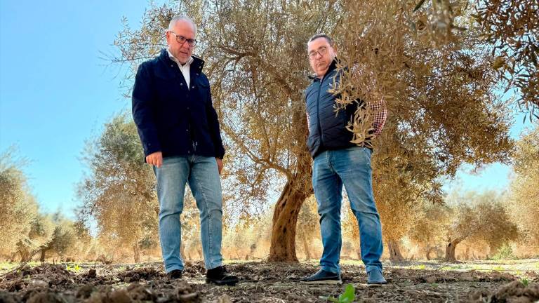 Villanueva de la Reina conoce las ayudas a explotaciones agrarias de la Junta tras el paso del temporal