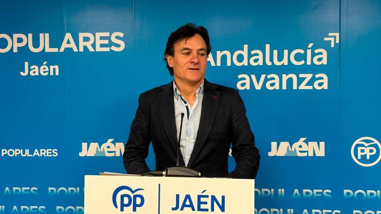 El portavoz del Grupo Popular del Ayuntamiento de Jaén, Agustín González.