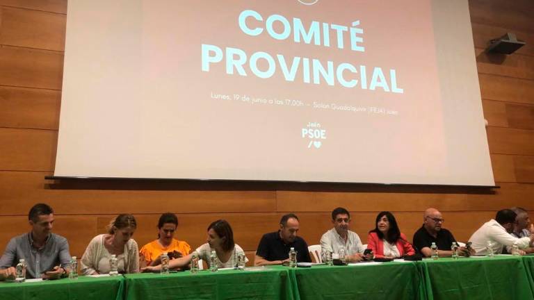 Reyes, único candidato y por aclamación del comité provincial socialista a presidir la Diputación