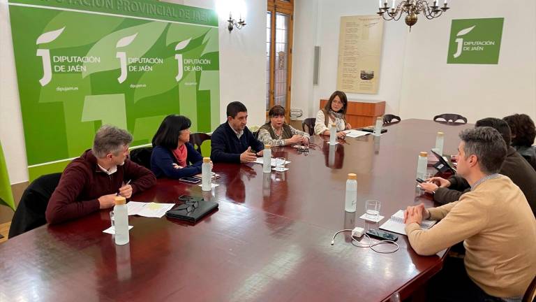 Diputación pedirá la declaración de zona catastrófica para los 97 municipios