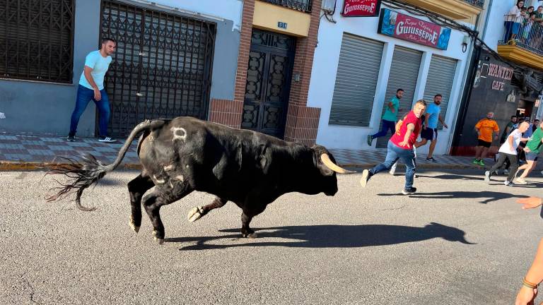 La primera jornada de encierros en Villacarrillo se vive con pasión taurina