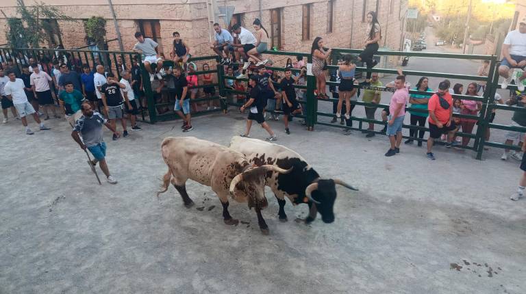 <i>Cabestreros. / Adrián Claudio Bonache / Diario JAÉN. </i>