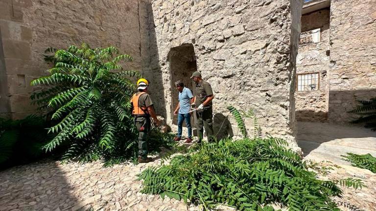 Dieciocho proyectos que optan a casi 20 millones para revitalizar el casco histórico