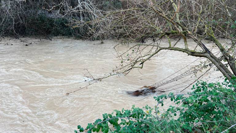Preocupación en Santo Tomé: El caudal del Guadalquivir sigue creciendo