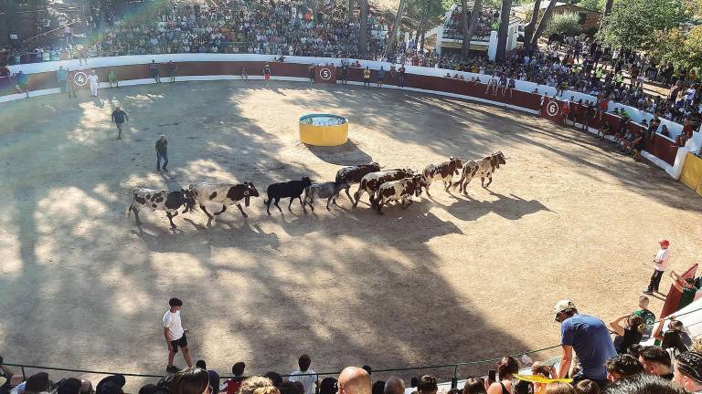 Encierro cargado de bravura en Siles