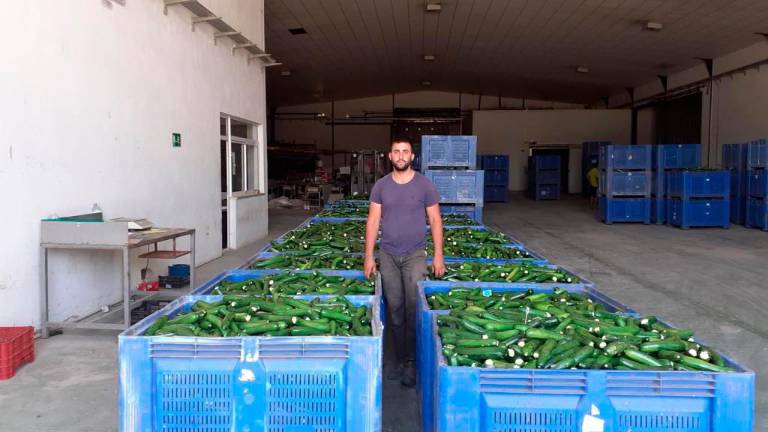 “Hortícolas del Guadalquivir” expande su oferta desde Campillo