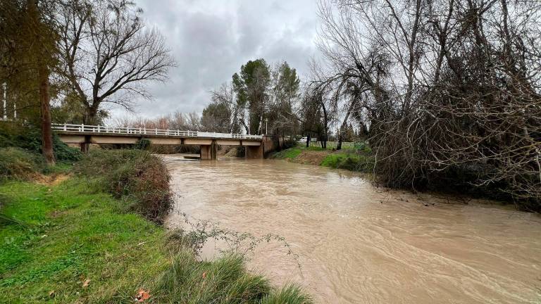 Preocupación en Santo Tomé: El caudal del Guadalquivir sigue creciendo